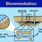 Saksi Ahli Jaksa Tak Dikenal Dalam Forum Bioremediasi