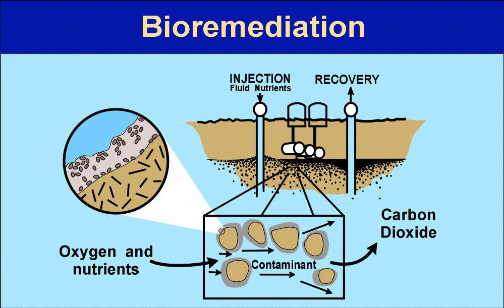 Saksi Ahli Jaksa Tak Dikenal Dalam Forum Bioremediasi