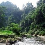 ExxonMobil Bantu USD 100.000 Untuk Kelestarian Ekosistem Gunung Leuser