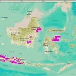 Laba Bersih Pertamina EP Semester I – 2013 Mencapai Rp 10,08 Triliun