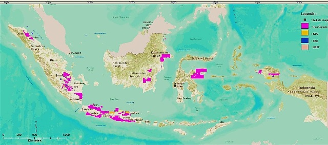 Laba Bersih Pertamina EP Semester I – 2013 Mencapai Rp 10,08 Triliun
