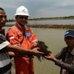 26 Perusahaan Raih PROPER Emas, Grup Pertamina Kuasai Separuhnya