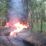 Pertamina EP Berhasil Rebut 10 Sumur Minyak di Sumsel Dari Penambang Ilegal