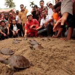 Pertamina Sabet  6 Proper Emas