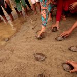 Mencipta Harmoni di Rantau