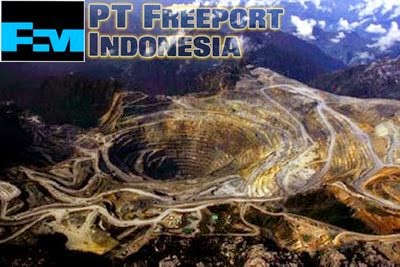 Menteri ESDM Bantah Ada Pertemuan Khusus dengan Freeport