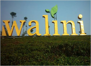 Infrastruktur Bagus, Pengembangan Kota Mandiri Walini Menarik bagi Investor 