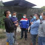 Jalan Panjang Menyelamatkan Elang