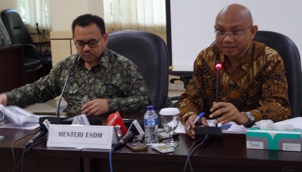 Pemerintah Luncurkan Program Energi Surya Berkapasitas 5.000 MW