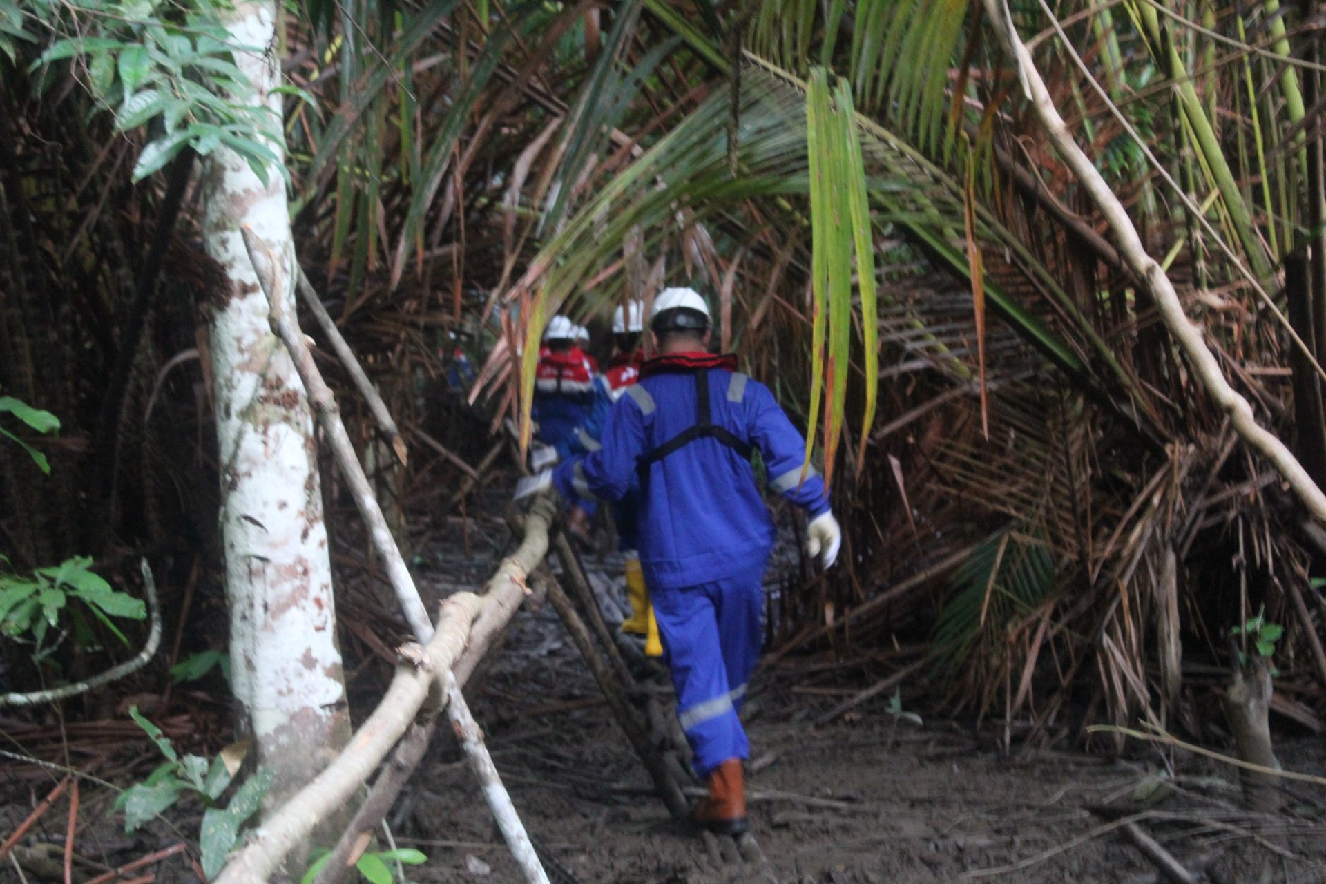 Pertamina EP Target Tuntaskan  Seismic 2D Kupalanda pada Agustus 2016