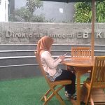 Pemerintah Bentuk Tim Formulasi Harga Listrik EBT