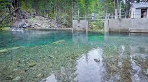 Perlu Daya Tarik Agar Investor Berminat Garap Pembangkit EBT