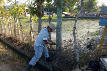Pohon Listrik Bantu Penerangan Warga Pidie Jaya