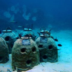 Mengadopsi Reef Stupa, Menjaga Ekosistem “Maldives” Indonesia