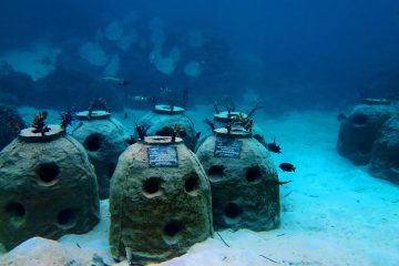 Mengadopsi Reef Stupa, Menjaga Ekosistem “Maldives” Indonesia