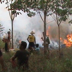 Saat Ini Pertamina EP Fokus Bantu Korban Terdampak Ledakan Sumur Minyak di Aceh