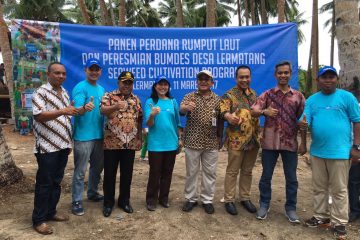 Progam Investasi Sosial Inpex Dukung Peningkatan Produksi Rumput Laut Maluku Tenggara Barat