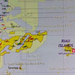 Tetap Dilanjutkan, Pertamina Cari Teknologi Kembangkan Blok East Natuna