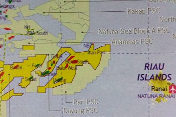 Tetap Dilanjutkan, Pertamina Cari Teknologi Kembangkan Blok East Natuna