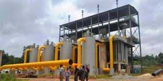 Pengembangan Biomassa Jadi Fokus Kerja Sama Indonesia-Lithuania