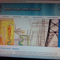 BATAN : Pengembangan PLTN Butuh Waktu Lama, Butuh Persiapan Nyata
