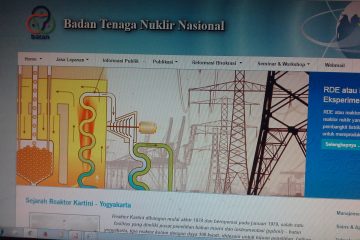 BATAN : Pengembangan PLTN Butuh Waktu Lama, Butuh Persiapan Nyata