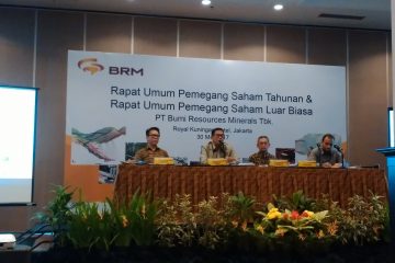 Terbitkan Saham Baru, Bumi Minerals akan Bayar Utang US$231 Juta