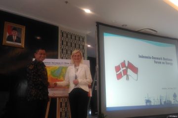 Peran Pemerintah Penting untuk  Jalani Transisi Energi