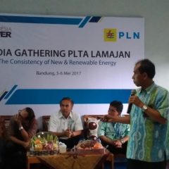 Kejar Target EBT, PLN akan Optimalkan Potensi Tenaga Air dan Panas Bumi