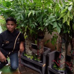 Komitmen Pertamina EP di Tampur Paloh Tak Hanya Program Tree Energy