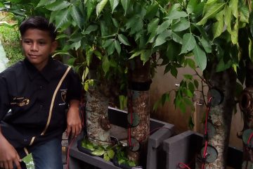 Komitmen Pertamina EP di Tampur Paloh Tak Hanya Program Tree Energy