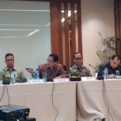 Smelter Well Harvest Beroperasi,  Pendapatan Cita Mineral Kuartal I Naik 376%