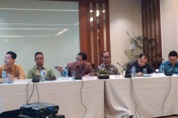 Smelter Well Harvest Beroperasi,  Pendapatan Cita Mineral Kuartal I Naik 376%