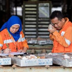 Agincourt Resources Perkuat Komitmen Pengelolaan Lingkungan dan Pengembangan Masyarakat