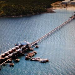 Adaro Komitmen Penuhi Kebutuhan Batu Bara Nasional