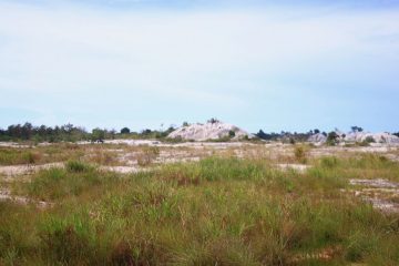 Bangka Belitung Potensi Besar untuk  Pembangkit Listrik Tenaga Thorium
