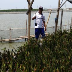 Dukung Pelestarian Lingkungan Tambakrejo, Pertamina Tanam Lagi 6.000 Mangrove