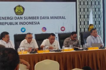 Realisasi Bauran Energi Listrik  Lampaui Target APBN