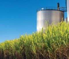 LIPI Kembangkan Supermikroba Penghasil Biorefineri