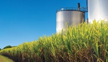 LIPI Kembangkan Supermikroba Penghasil Biorefineri