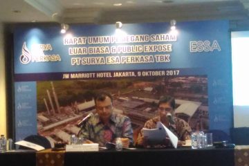 Surya Esa Target Raup Rp600 Miliar dari Rights Issue