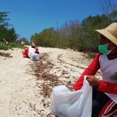 Capai Net Zero Emission Perlu Kemitraan Global yang Nyata