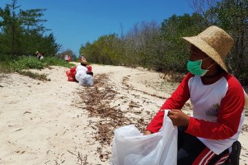 Capai Net Zero Emission Perlu Kemitraan Global yang Nyata