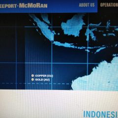 Pemerintah Klaim Freeport  Komitmen terhadap Divestasi 51% Saham