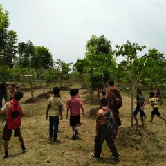 PHE ONWJ Menyulap Lahan Kurang Produktif menjadi Hutan Greenthink