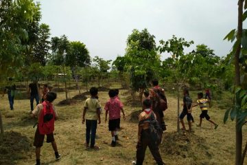 PHE ONWJ Menyulap Lahan Kurang Produktif menjadi Hutan Greenthink