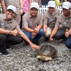 Ini Cara Pertamina EP Rantau Realisasikan Komitmen Dukung Konservasi Tuntong Laut