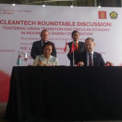 Belajar dari Denmark, Pemerintah Kejar Harga Murah Listrik EBT