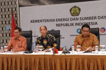 Pemerintah Inisiasi Kajian Baru Pengembangan Pembangkit Listrik Tenaga Nuklir