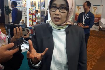 Indonesia Power Gandeng Adaro Bangun PLTU Mulut Tambang Kaltim